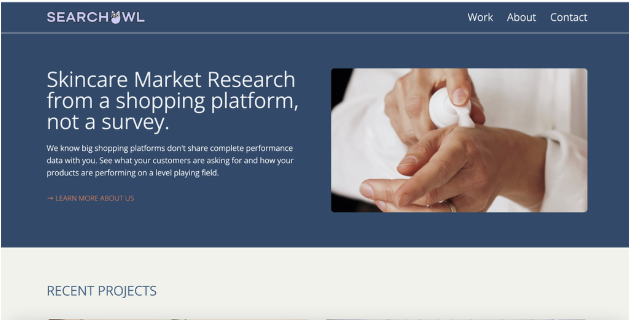 SearchOwl business website before redesign