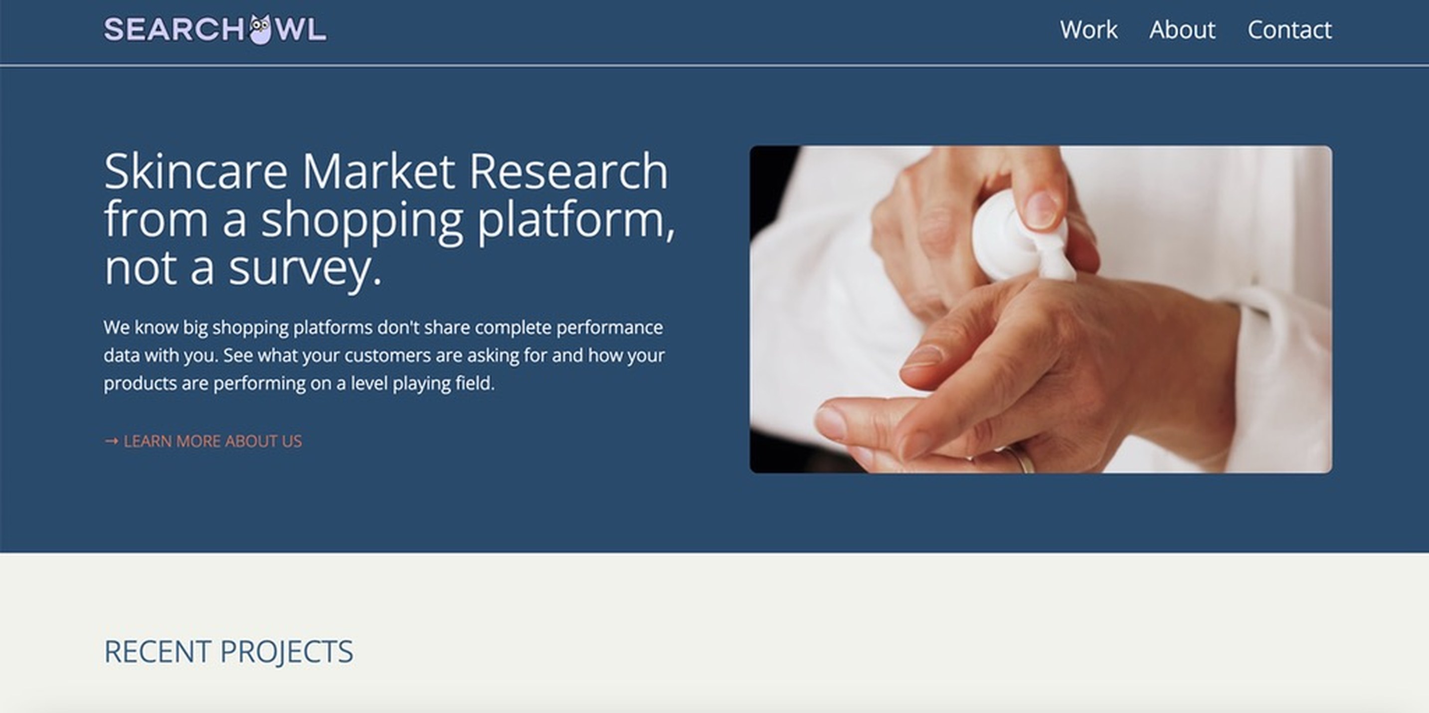 SearchOwl B2B site before redesign